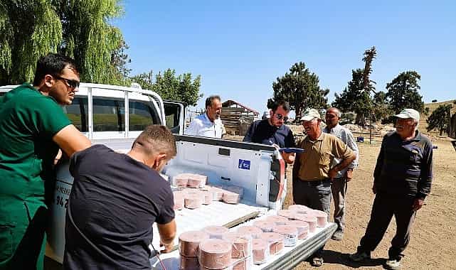Büyükşehir Konyaaltı’nın “Çoban Haritasını” çıkarıyor görseli