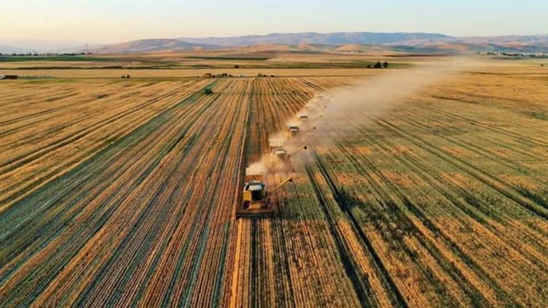 Çiftçilere yaklaşık 345 milyon lira tarımsal destek ödemesi yapılacak görseli