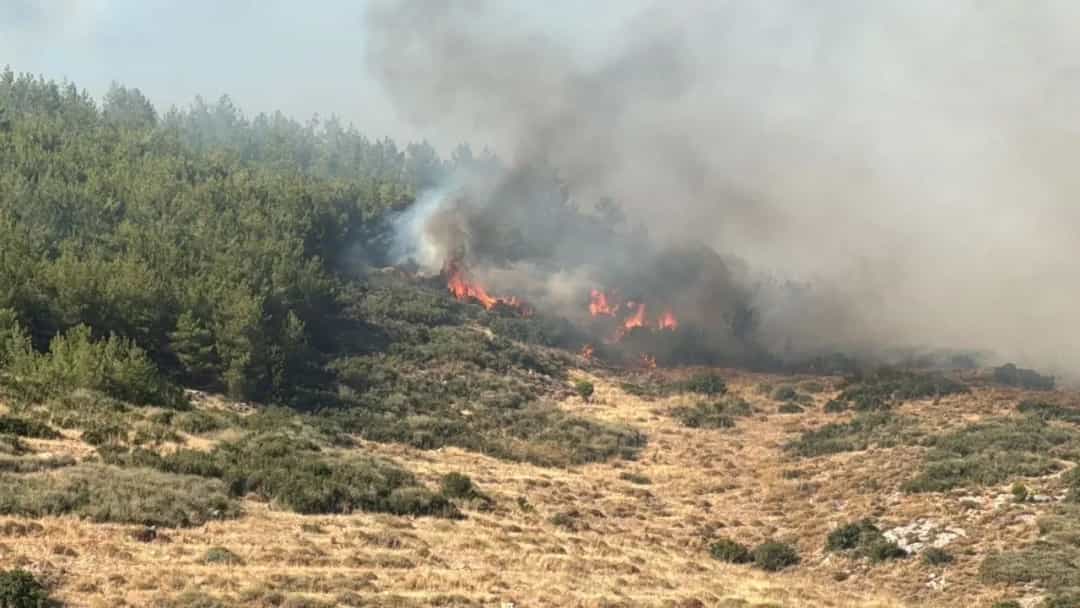 Orman yangınlarına ilişkin soruşturma: 13 kişi tutuklandı görseli