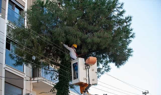 Karşıyaka’da budama seferberliği: Ağaçlar bahara hazırlanıyor görseli