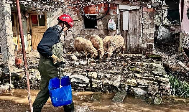 Büyükşehir ekipleri tüm canlılar için aynı özveriyle çalışıyor görseli