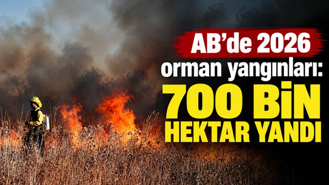 AB'de 2026 orman yangınları: 700 bin hektar yandı