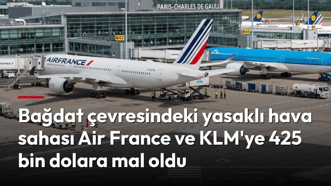 Paris Charles de Gaulle Havalimanı apronunda park etmiş Air France ve KLM yolcu uçakları.