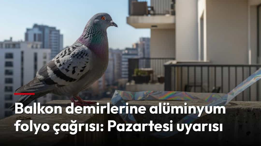 Balkon kenarındaki alüminyum folyonun yanında duran bir güvercin.