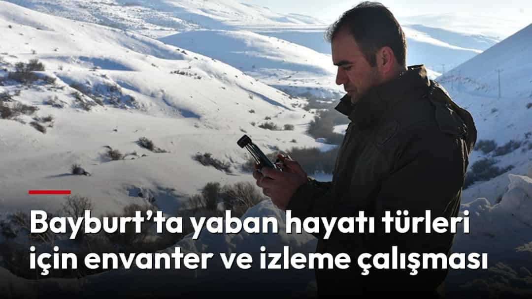 Karlı dağlık arazide yaban hayatını izleyen bir görevli elindeki cihazı inceliyor.