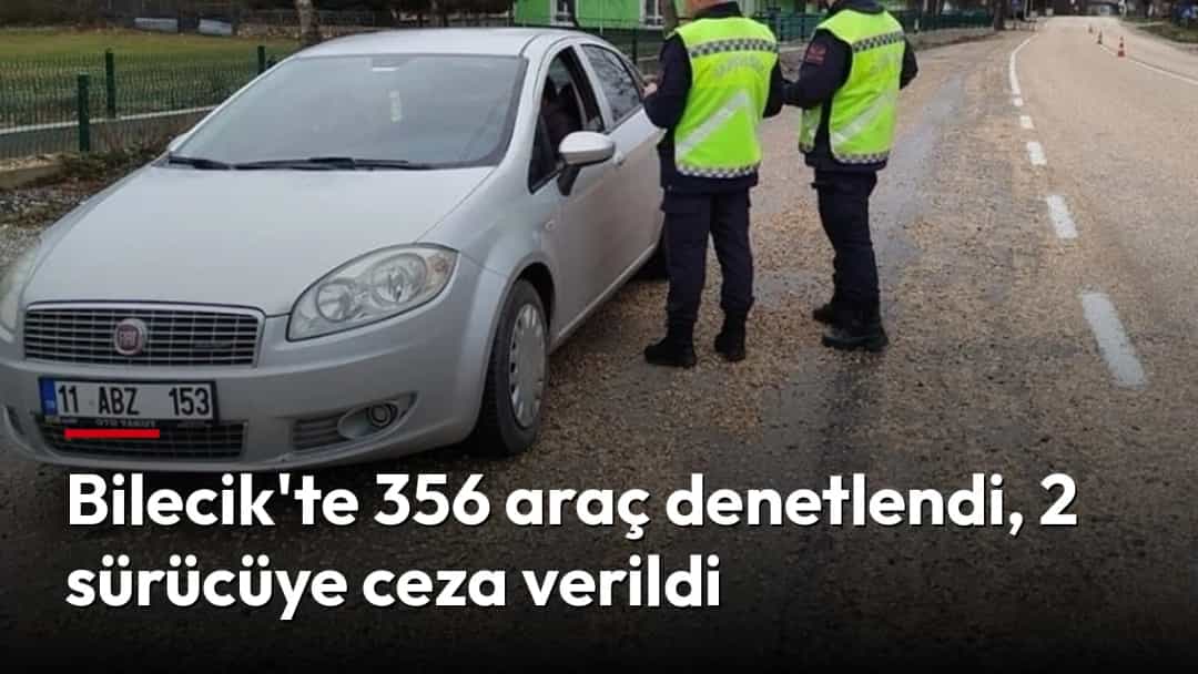Trafik ekipleri yol kenarında bir otomobili denetliyor.