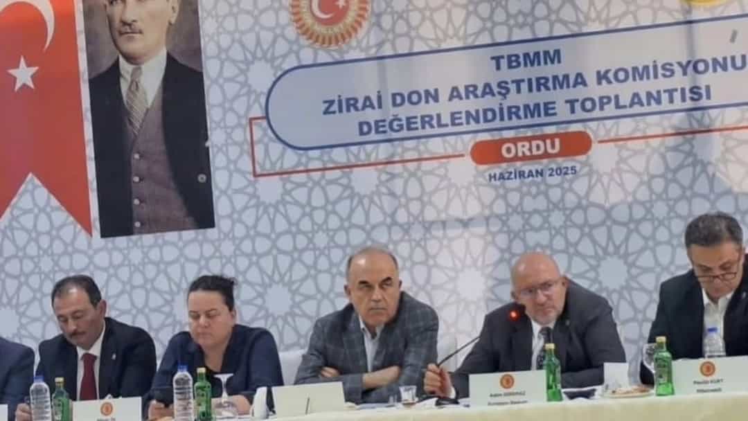 Zirai Don Hasar Tespit Komisyonu Fındık 'ta Kayıp Büyük görseli