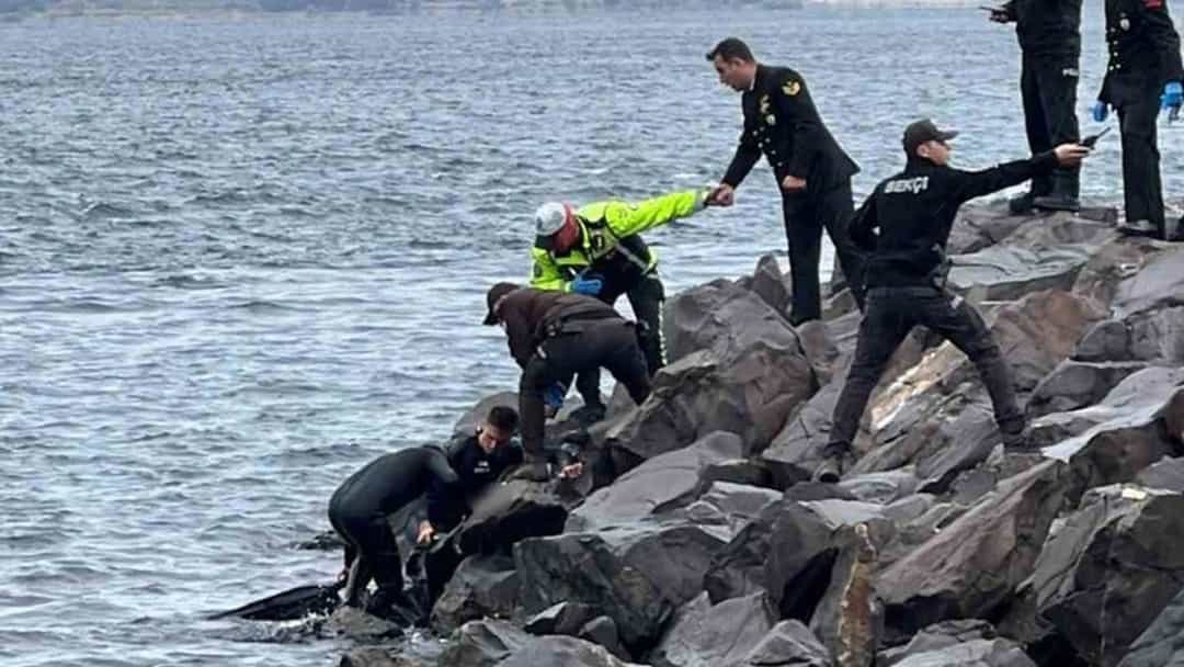 Ekipler, Çanakkale’de kayalık kıyıda çalışma yürütüyor.