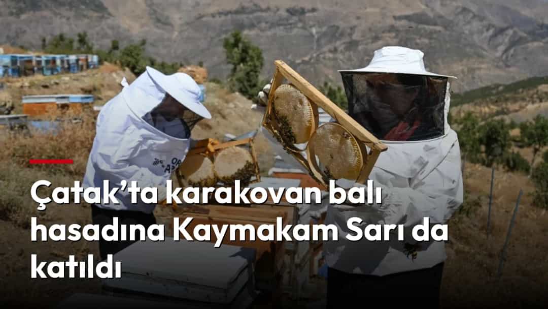 Çatak’ta arı kovanlarının yanında koruyucu kıyafetli iki kişi petekleri inceliyor.
