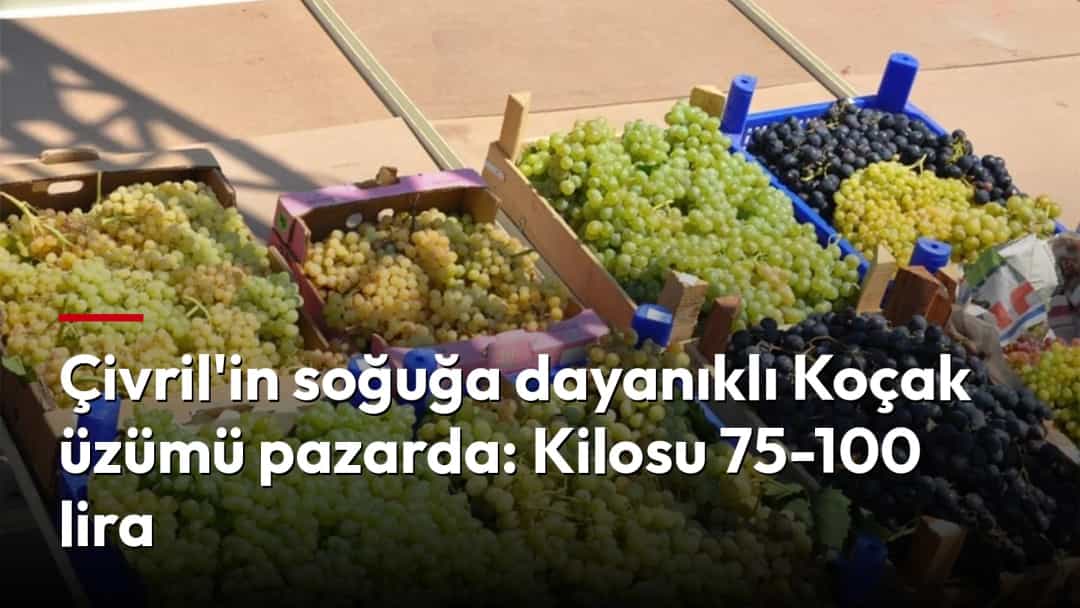 Pazarda kasalarda sergilenen yeşil ve siyah üzümler