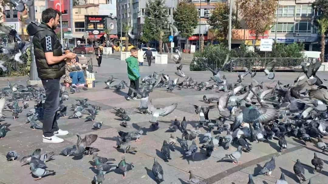 Çorlu'da güneşli havada bir meydanda güvercinlerin arasında duran vatandaşlar.