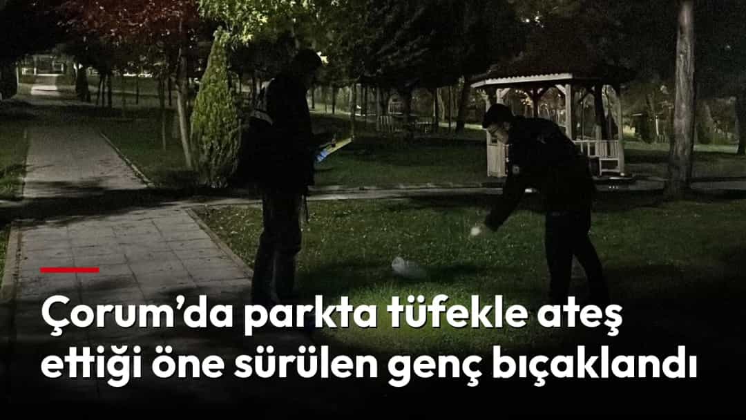 Gece bir parkta el feneriyle çevreyi inceleyen iki kişi.