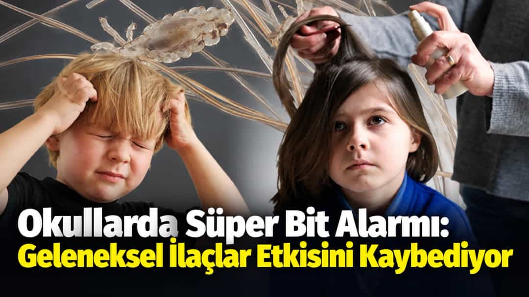 Okullarda Süper Bit Alarmı: Geleneksel İlaçlar Etkisini Kaybediyor