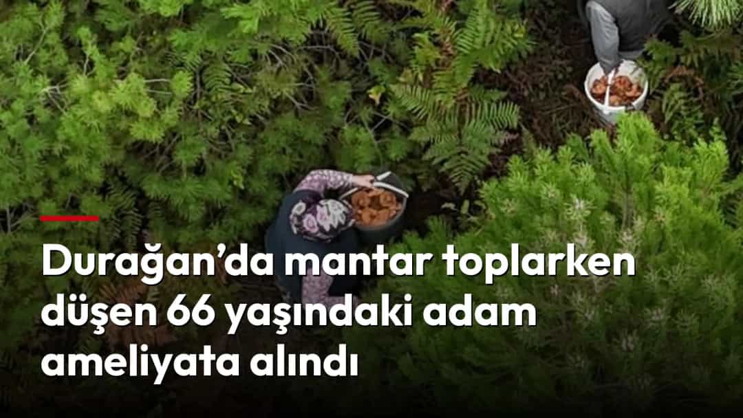 Ormanlık alanda ağaçların arasında bulunan kişiler, yukarıdan görünüm.