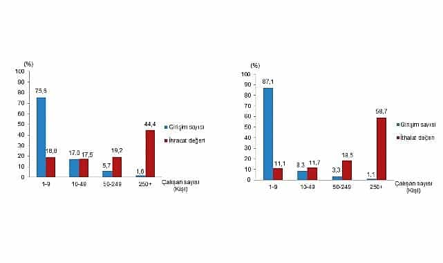 Girişim Özelliklerine Göre Dış Ticaret İstatistikleri, 2024 görseli