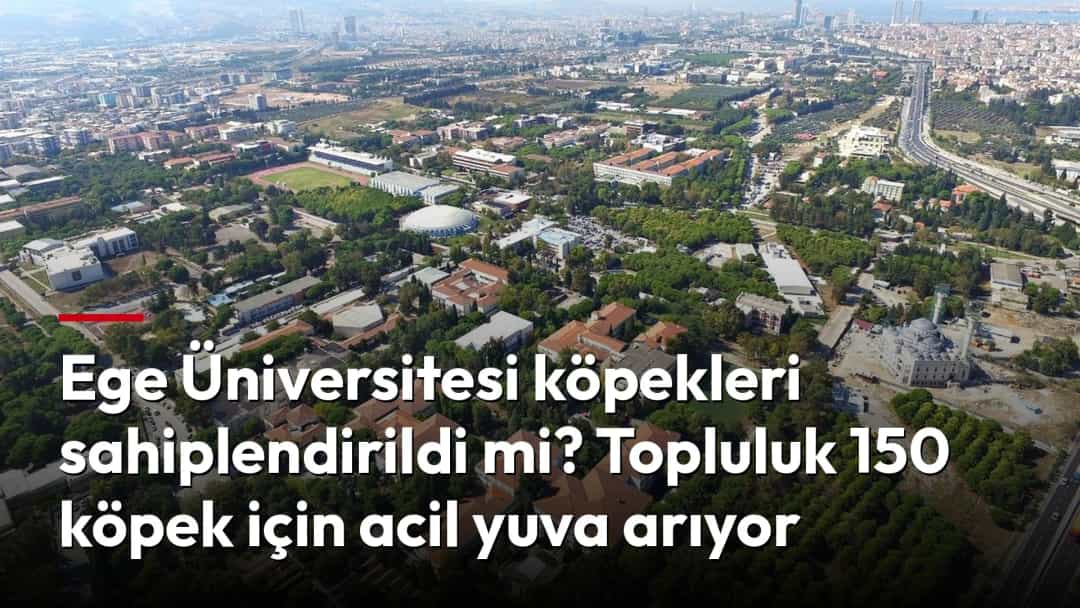 İzmir Bornova'daki Ege Üniversitesi yerleşkesinin havadan görünümü: kırmızı çatılı fakülte binaları, ağaçlık alanlar, spor sahaları ve arka planda kent silueti