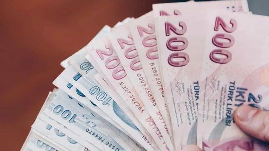 Bir elde tutulan Türk lirası banknotları