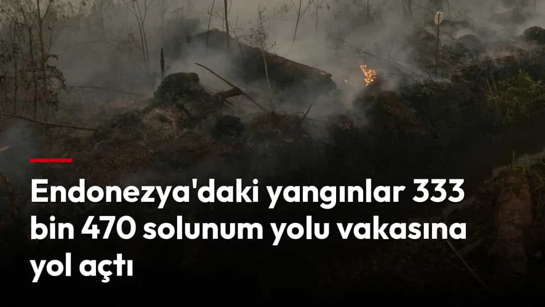 Endonezya’da ormanlık arazide yangın sürerken dumanlar çevreyi kaplıyor.