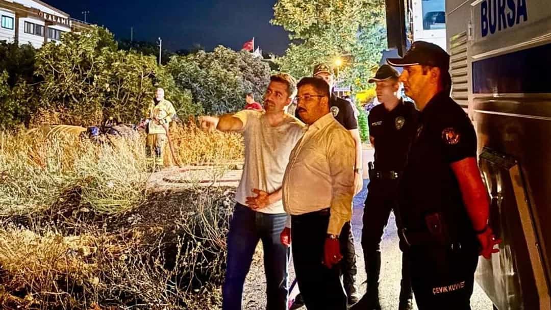 Mudanya Yolu’ndaki yangın kontrol altına alındı! 4 dönüm alan zarar gördü görseli