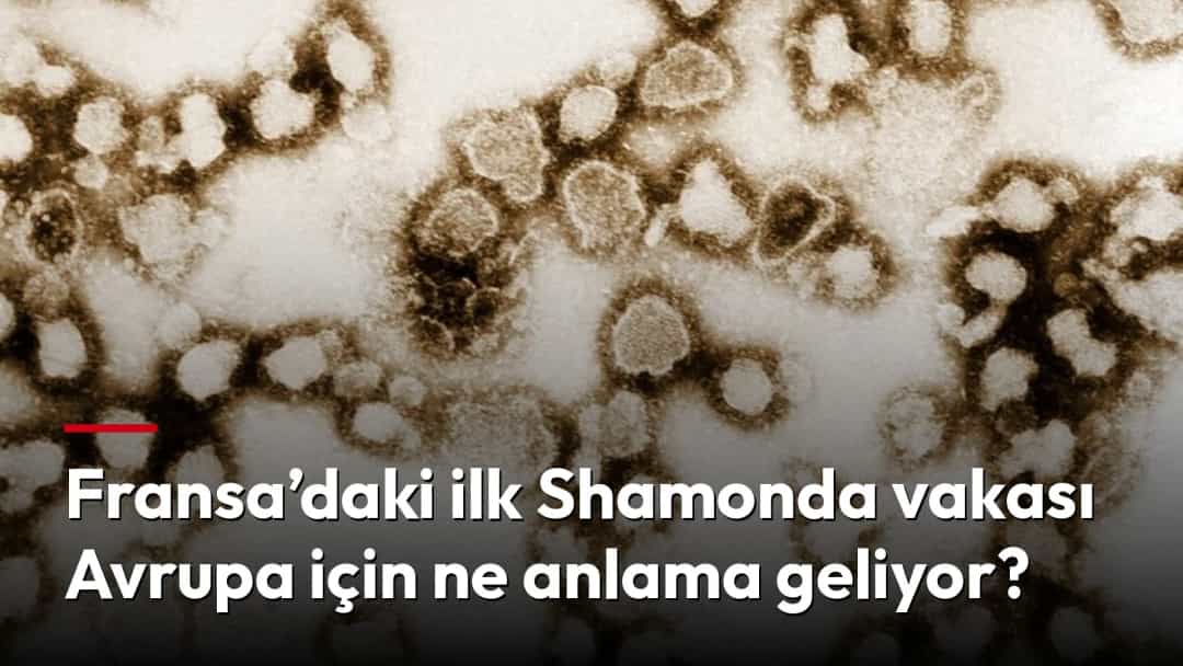 Elektron mikroskobunda görülen virüs parçacıklarının görüntüsü.