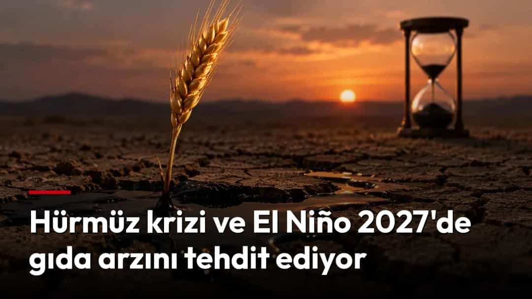 Kurak ve çatlamış toprakta tek bir buğday başağı, gün batımında bir kum saatinin yanında yükseliyor.