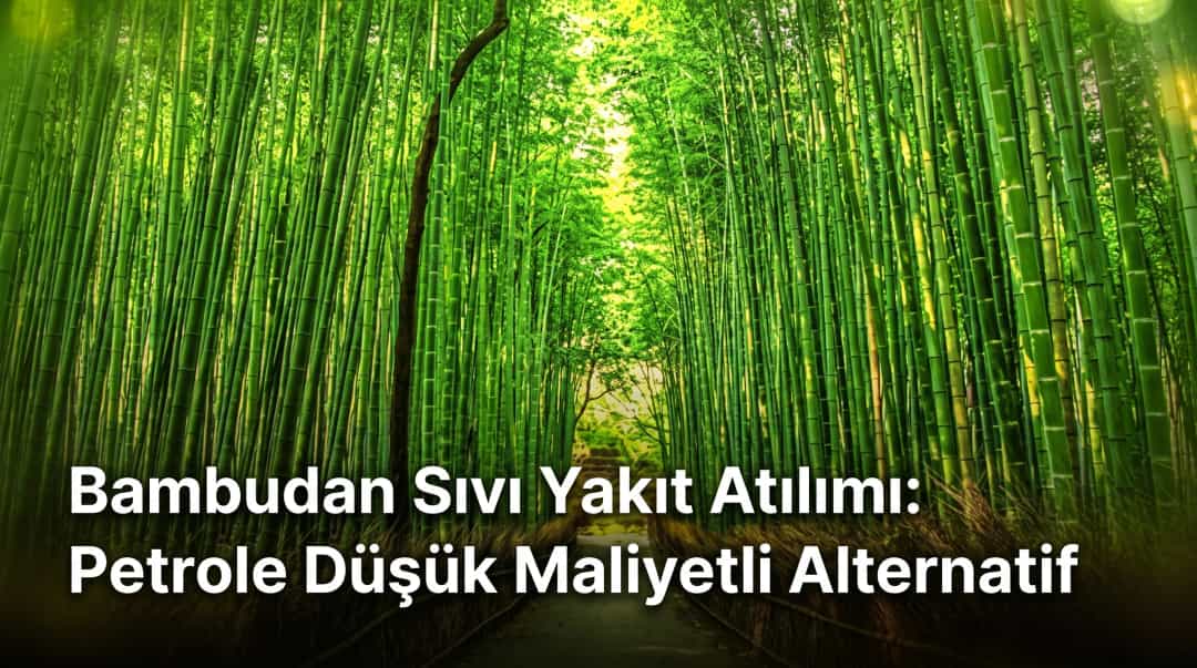 Bambudan Sıvı Yakıt Atılımı: Petrole Düşük Maliyetli Alternatif