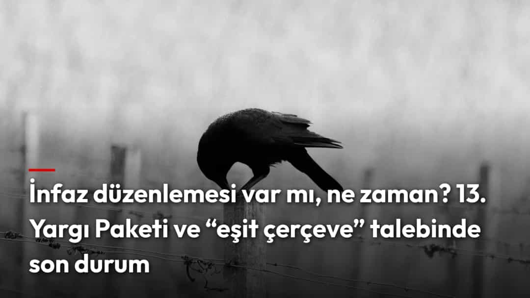 Dikenli tel çitin direğinde duran bir karga (temsili)
