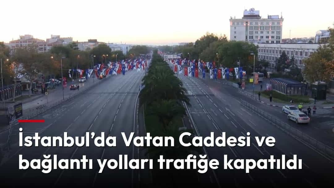Vatan Caddesi’nde araç trafiğine kapatılan geniş yol ve refüjde sıralanan palmiyeler