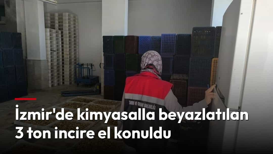 Bir görevli, kurutulmuş incirlerin bulunduğu depoda inceleme yapıyor.