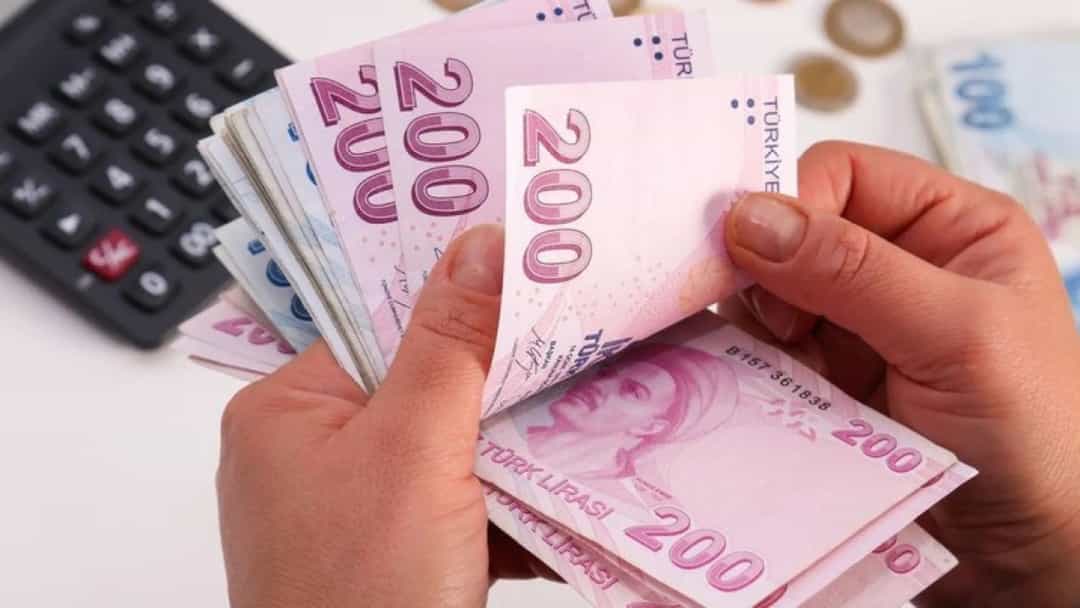 Ellerin Türk lirası banknotlarını saydığı yakın plan