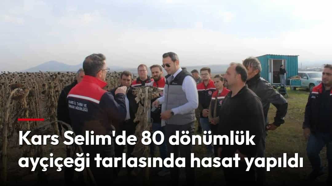 Kars Selim’de ayçiçeği tarlasında hasat alanını gezen bir grup; ortada beyaz gömlekli bir görevli bulunuyor.