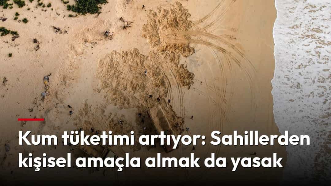 Sahilde kum çıkarılan alan ve kum yüklü iş makineleri, havadan görünüm.