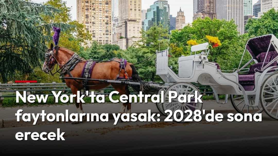 Central Park'ta atın çektiği beyaz bir fayton, arka planda Manhattan'ın yüksek binalarıyla birlikte görülüyor.