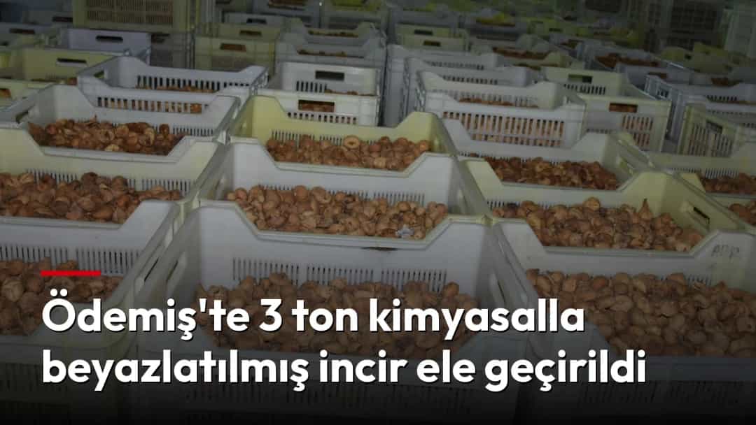 Kapalı bir depoda plastik kasalara doldurulmuş kuru incirler