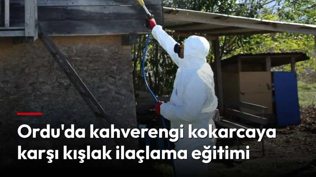 Koruyucu tulum giyen bir görevli, ahşap bir yapıyı ilaçlayarak kahverengi kokarcaya karşı kışlak mücadelesi yapıyor.