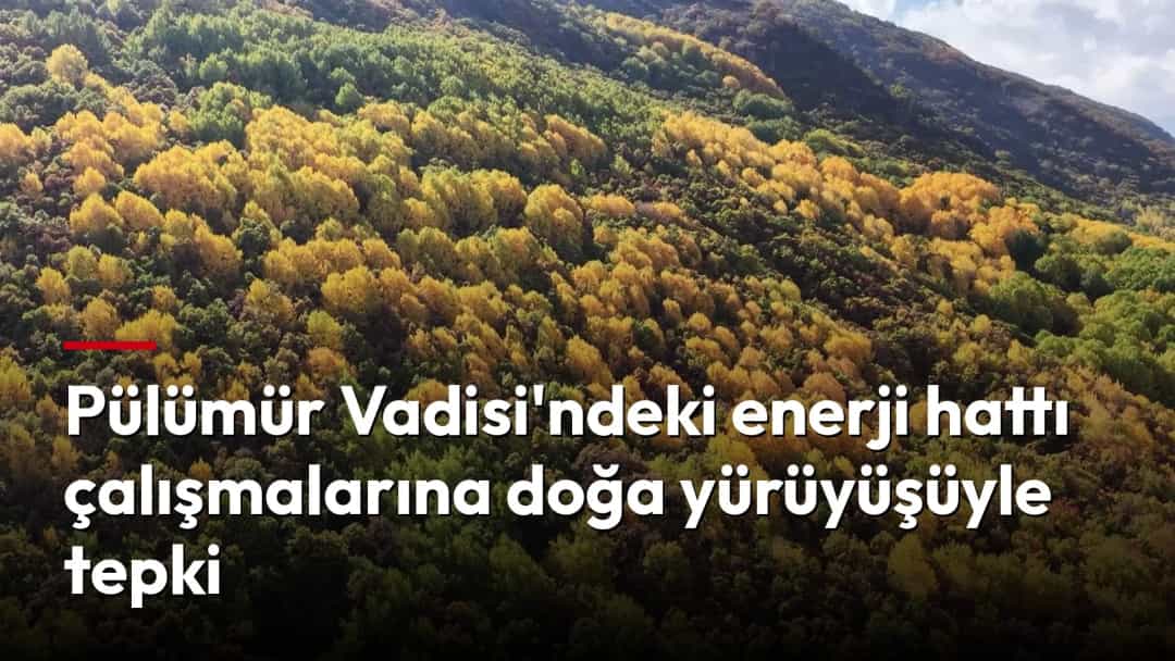 Sonbahar renklerine bürünen ormanlık dağ yamacı ve vadi manzarası.