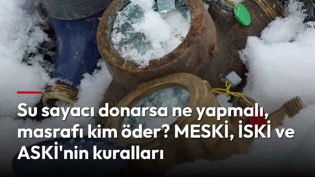 Kar içinde duran, camları kırılmış su sayaçları.