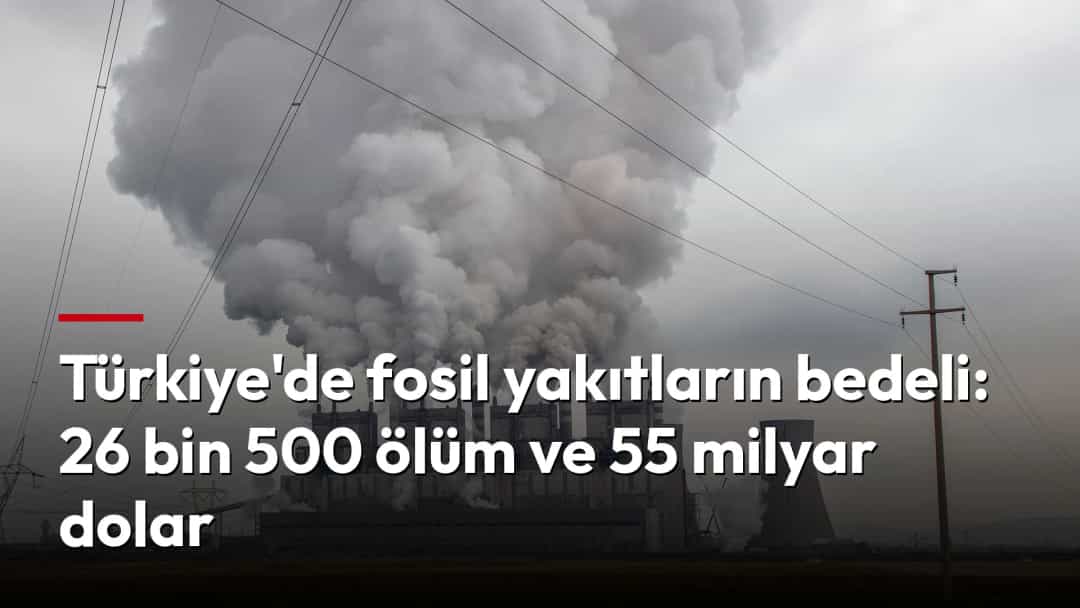 Bir termik santralden yoğun dumanlar yükseliyor.