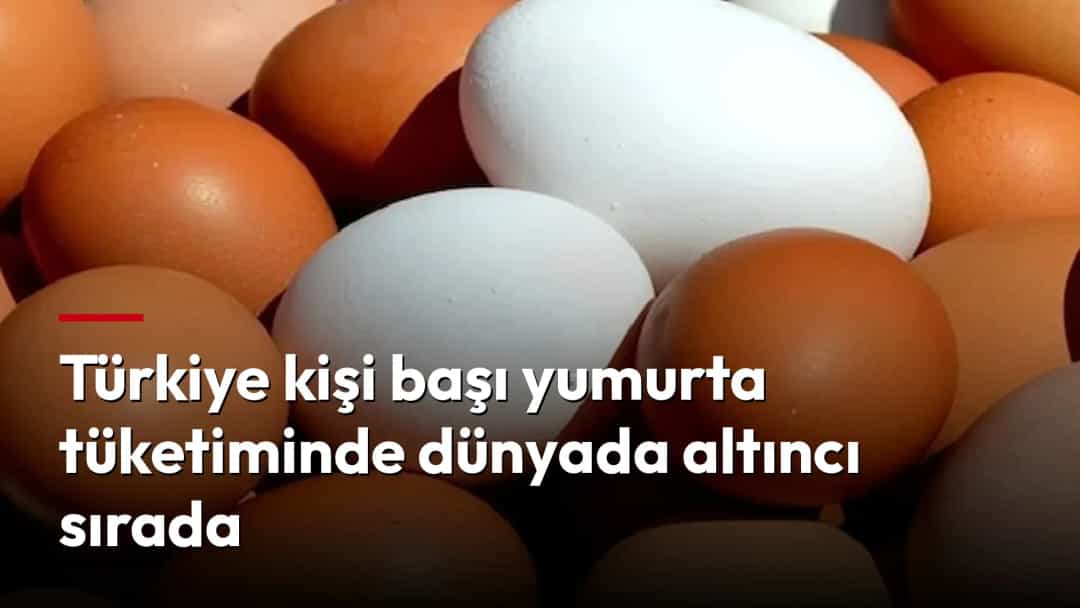 Bir arada duran beyaz ve kahverengi yumurtaların yakın çekim görüntüsü.