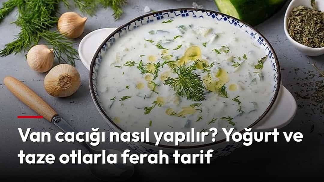 Taze dereotu ve salatalıkla hazırlanan Van cacığı, çevresinde kullanılan malzemelerle birlikte servis ediliyor.