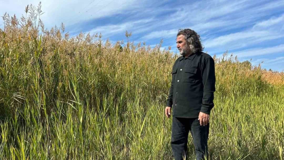 Van Gölü Havzası'nda gür sazlıkların arasında duran bir kişi.