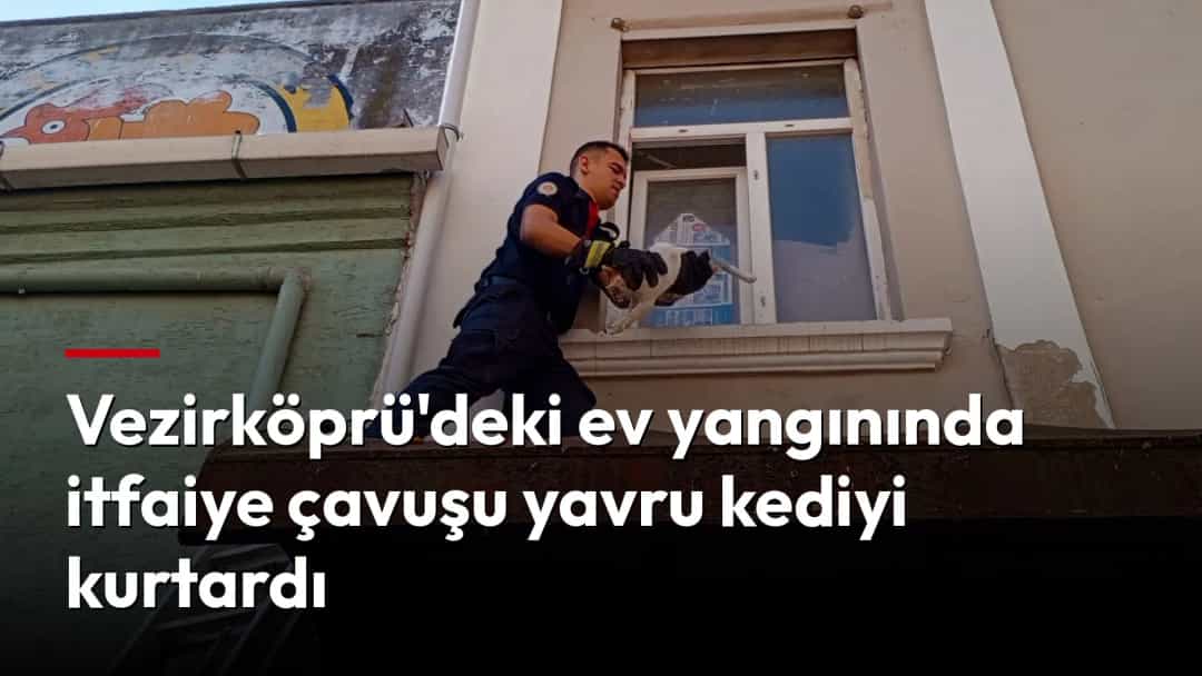 İtfaiye eri, penceredeki yavru kediyi kurtarırken