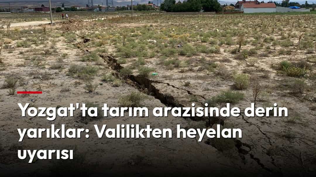 Tarım arazisinin kurumuş zemininde uzanan derin yarıklar