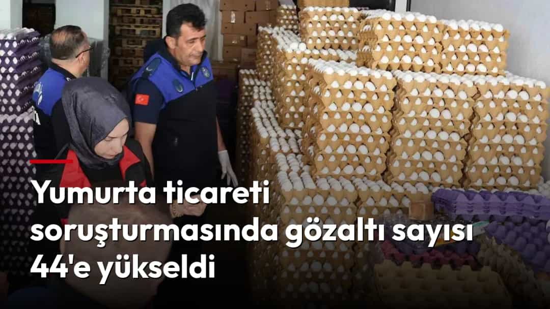 Görevliler, bir depoda istiflenmiş yumurta kolilerini inceliyor.