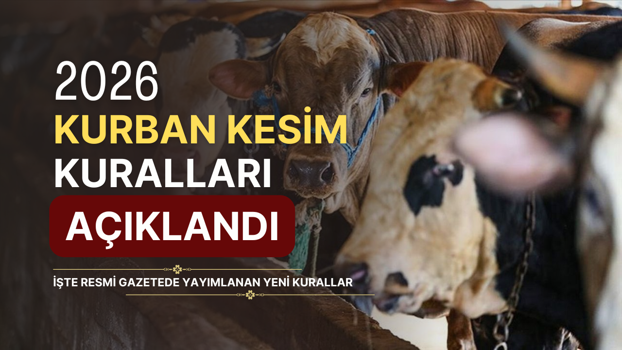 Kurban Bayramında Kesim Yapacaklar Dikkat! İşte Yeni Kurallar görseli