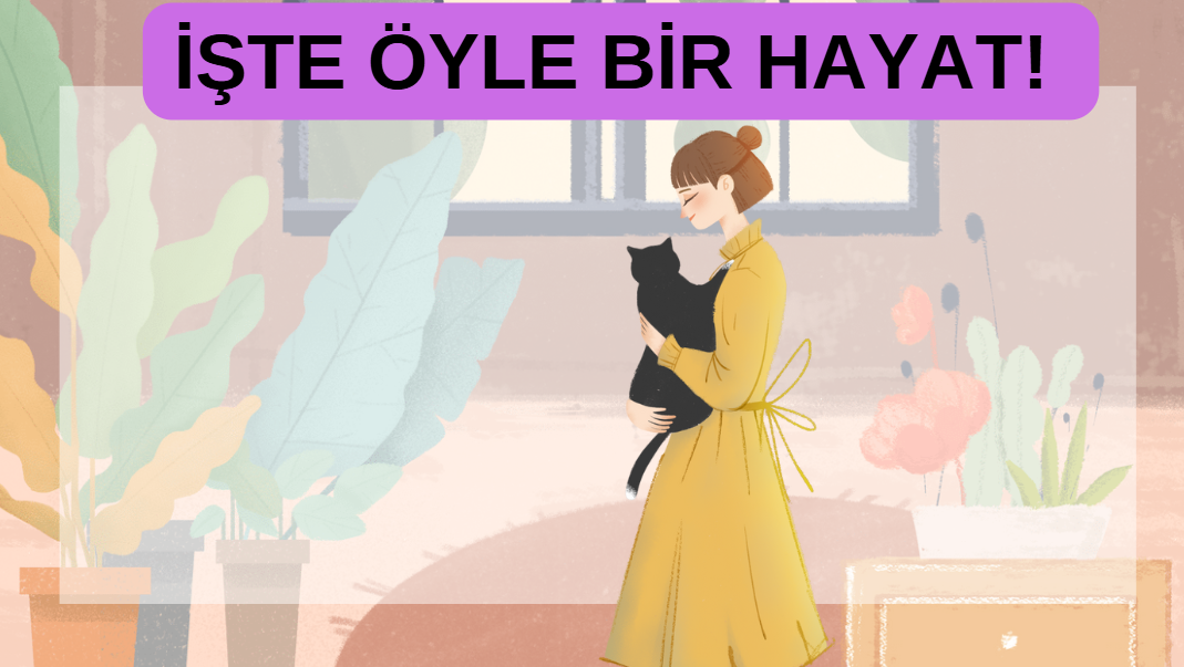 İşte Böyle Bir Hayat! görseli