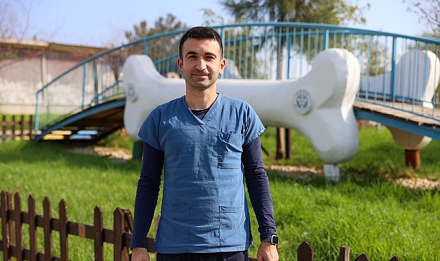Buca’da 3 bin 54 sokak kedisi kısırlaştırıldı görseli