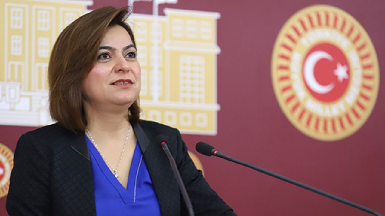DEM Parti Grup Başkanvekili ve Kars Milletvekili Gülüstan Kılıç Koçyiğit, TBMM Başkanlığına bir soru önergesi sundu görseli