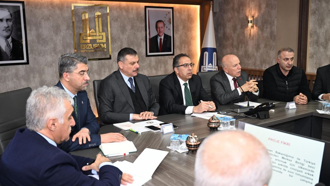 Kırmızı et üretimini artıracak pilot proje Erzurum’da başlıyor görseli