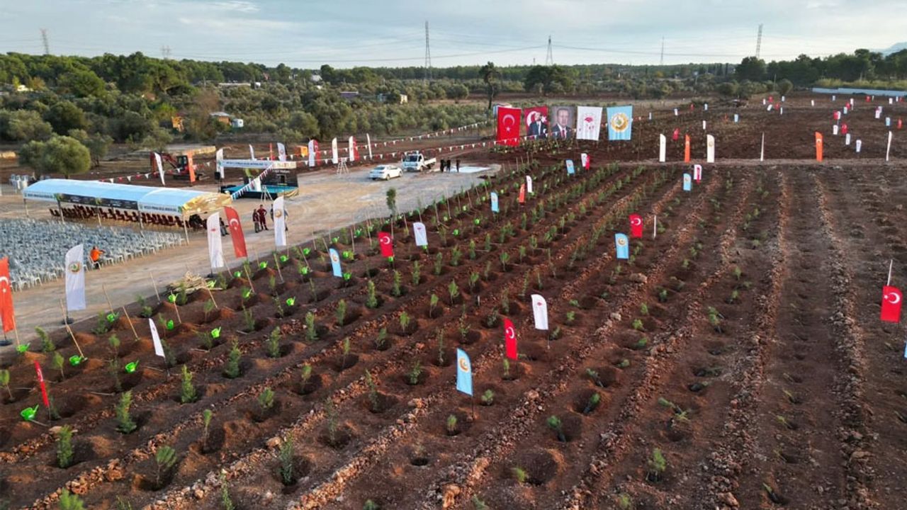 11 Kasım "Milli Ağaçlandırma Günü" için hazırlıklar tamamlandı görseli